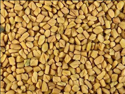 Fenugreek Seed