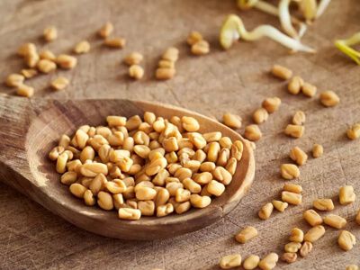 Fenugreek Seed