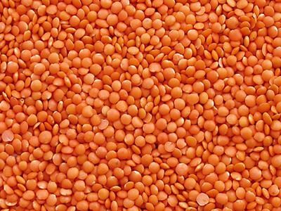 Lentils